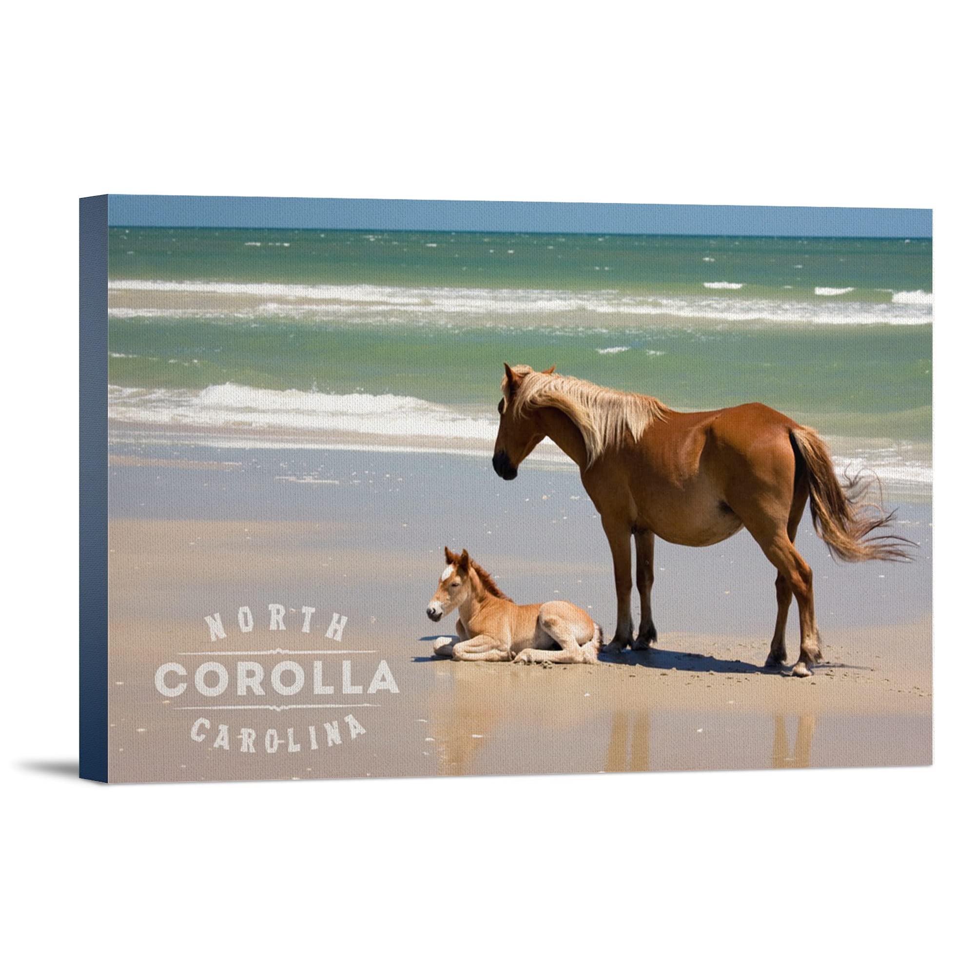 Corolla NC Wild Horses on Beach - Banker Pony & Foal Wall Art (36x24 Gallery Wrapped Canvas) - Perfect for Coastal Home Decor & Beach House Wall Decor
