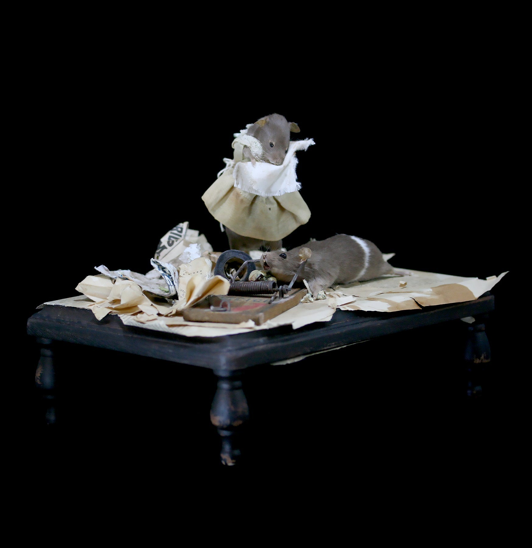 Love Hurts Taxidermy Diorama - Unique Gothic Home Decor for Dark Aesthetic Lovers | Perfect for Halloween, Gothic Weddings & Macabre Collections