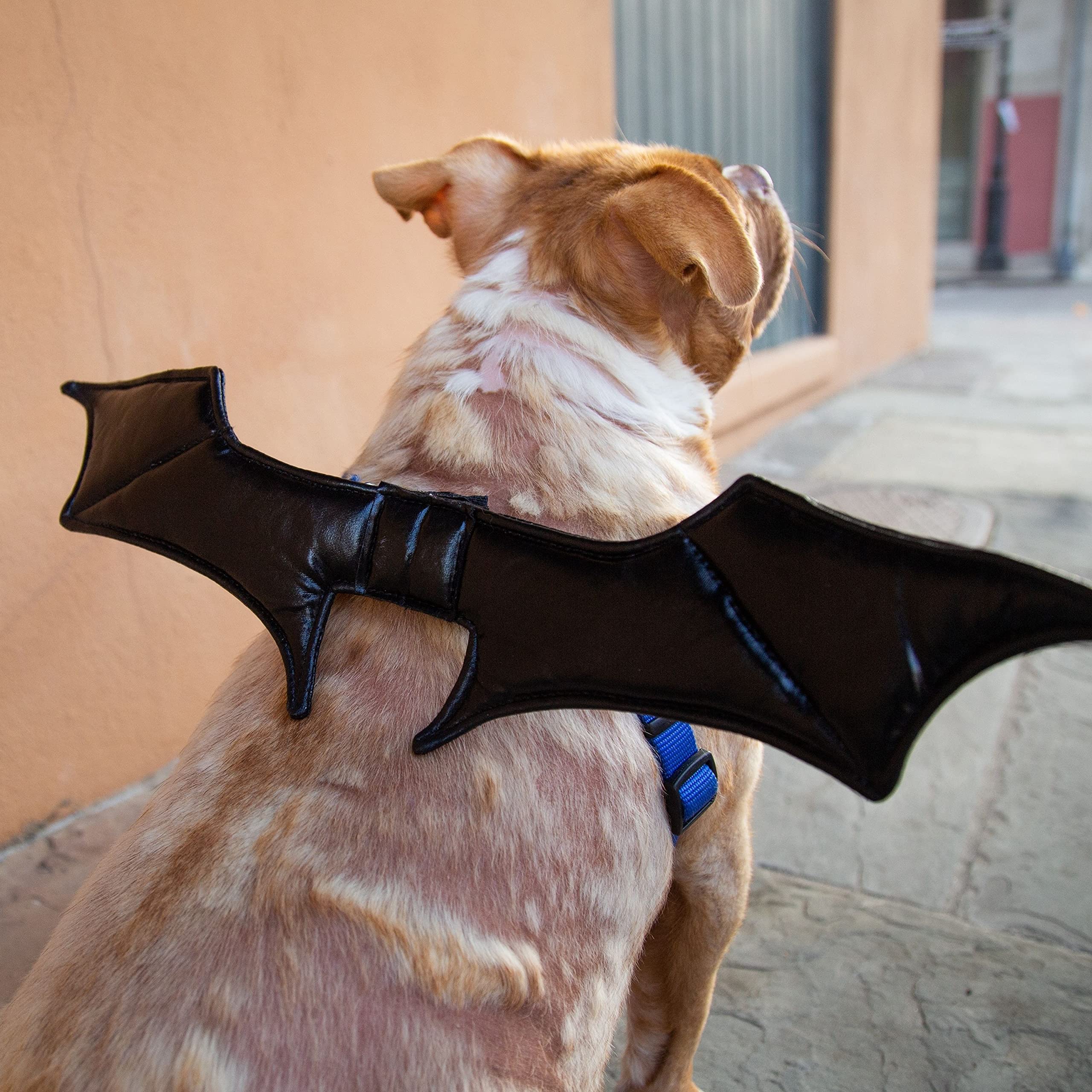 Pet Krewe Bat Dog Costume with Bat Wings & Harness Attachment - One Size Fits All - Perfect for Halloween, Christmas, Parties & Photoshoots - Great Gift for Dog Lovers - Ideal for Dress-Up, Pet Parades & Themed Events