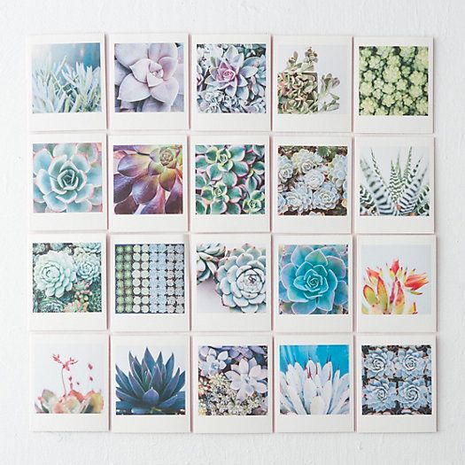 Succulent Garden Notecards Set - Handmade Botanical Greeting Cards with Cute Succulent Designs - Perfect for Thank You Notes, Birthday Cards & Wedding Invitations