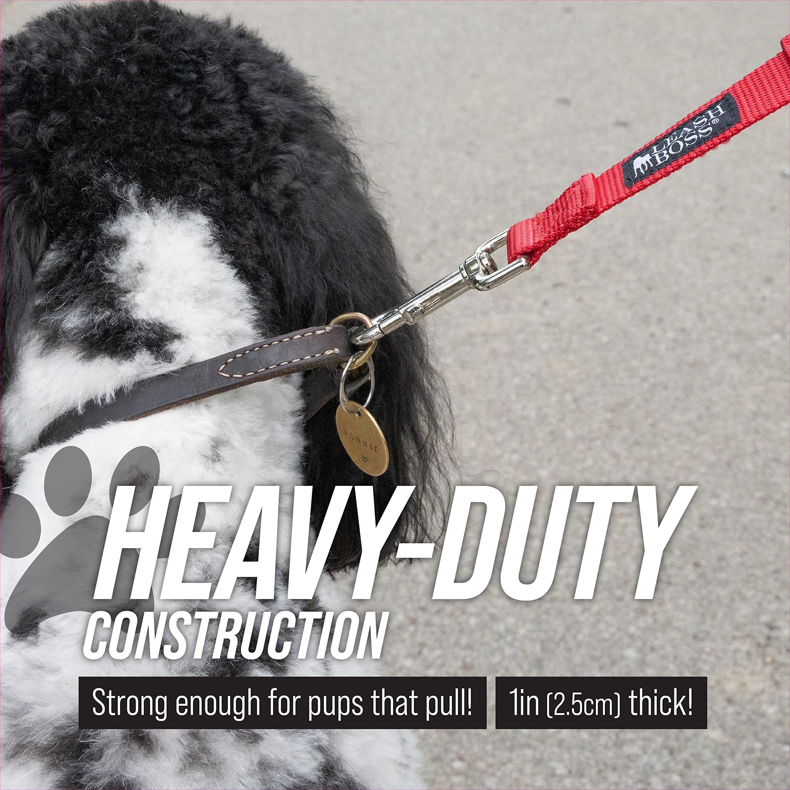 Leashboss Short Dog Leash for Training - Padded Traffic Handle Comfort Leash for Small, Medium & Large Dogs | Durable Nylon Dog Lead for Walking, Jogging & Outdoor Adventures