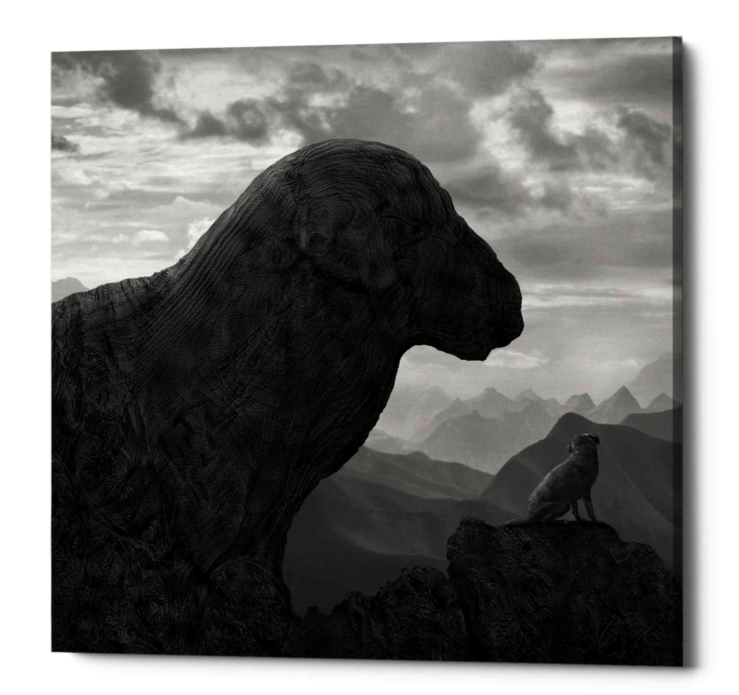 Dog Rock Canvas Wall Art by Dariusz Klimczak - 26x26 Inch Square Animal Painting for Living Room, Bedroom & Office Decor
