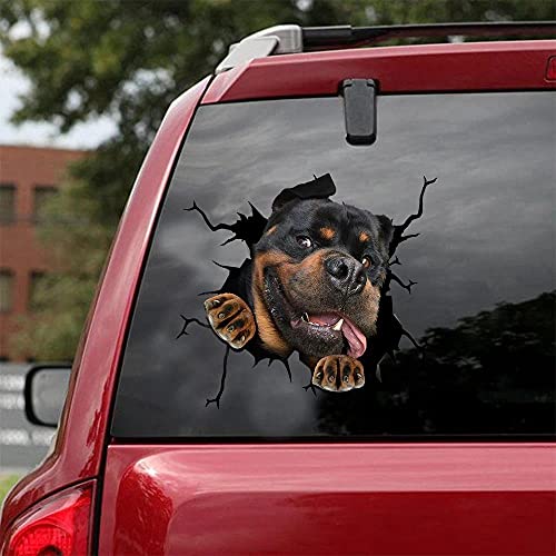 Rottweiler a