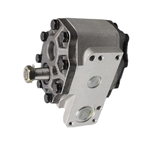CASE CX50 C70 CX60 C80 CX70 C90 CX80 C100 CX90 C50 CX100 C60 Hydraulic Gear Pump 23.2 CC Replacement Part (Model 308873A1) - Compatible with Excavators, Construction Equipment & Heavy Machinery