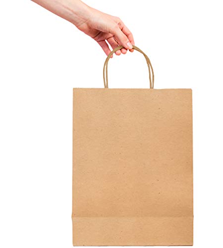 APQ 250-Pack Brown Kraft Paper Shopping Bags 8x4.75x10.5 Inches - Eco-Friendly Reusable Retail Gift Bags with Handles for Stores, Restaurants & Clothing Boutiques | Perfect for Merchandise Packaging, Takeout Orders & Boutique Shopping
