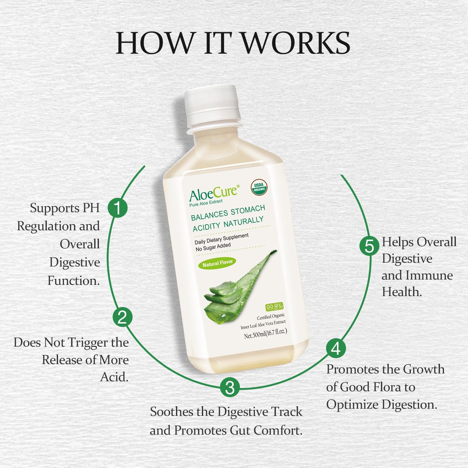USDA Organic Aloe Vera Juice - Pure Aloe Juice for Digestion, Immune Support & Stomach Health | Harvested Within 12 Hours | 12-Pack 500ml Bottles | Great for Daily Hydration, Detox & Gut Health