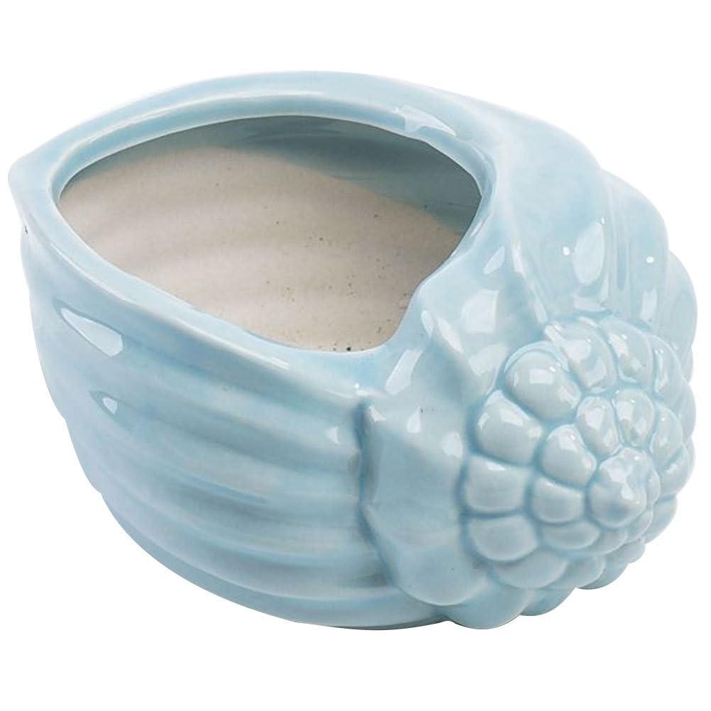 Mediterranean Style Ceramic Conch Planter - Shell Shaped Flower Pot for Bonsai, Succulents & Hydroponic Plants | Perfect for Home, Office & Garden Decor | Desktop Plant Container with Drainage Hole