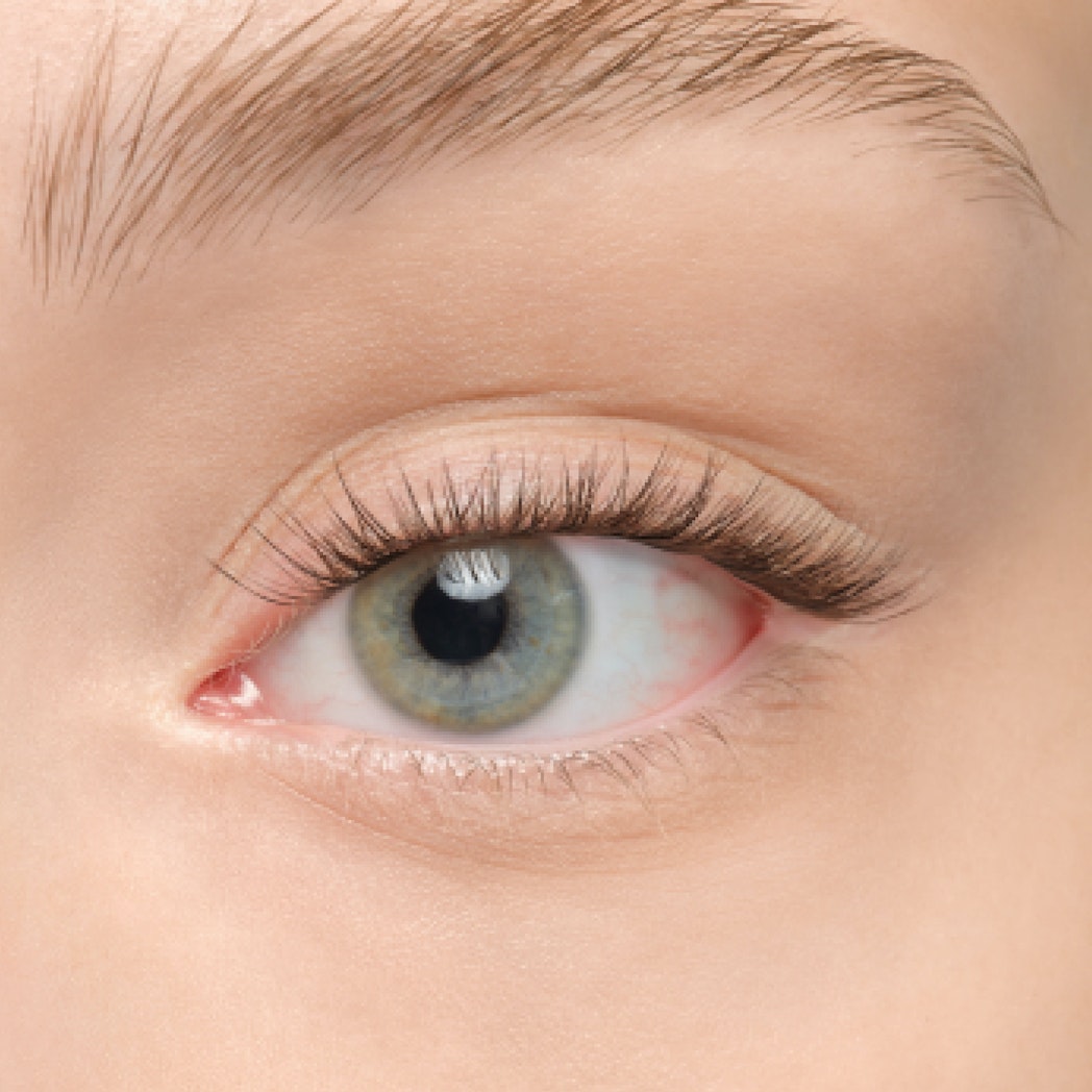 Plushy Gossamer® False Eyelashes - Natural Wispy Lashes for Dramatic Eye Makeup | Perfect for Parties, Weddings & Special Occasions