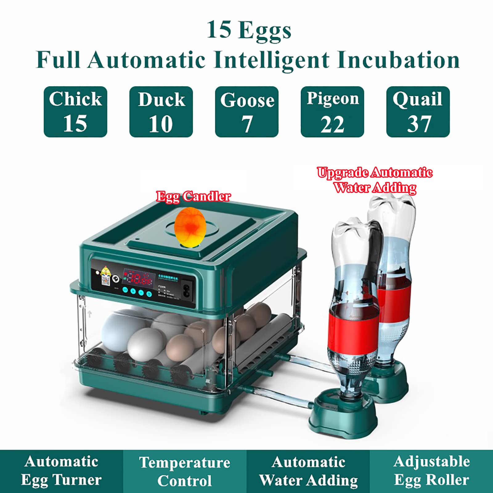 Automatic Egg Incubator for 24-60 Eggs - Intelligent Poultry Hatching Machine for Chicken, Duck, Goose, Quail & Bird Eggs | Perfect for Home Farms, Backyard Poultry & Small-Scale Hatcheries (15EGGF)
