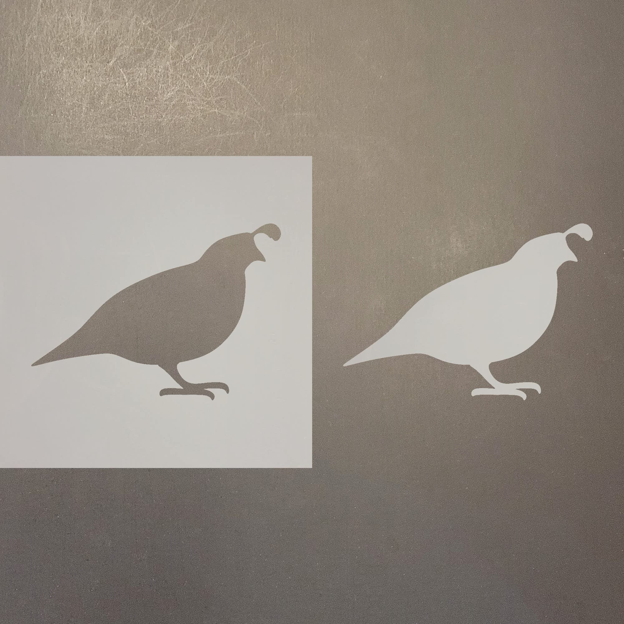 4 Inch Quail Reusable Mylar Stencil for Art & Craft Supplies - Perfect for DIY Projects, Scrapbooking, and Home Decor