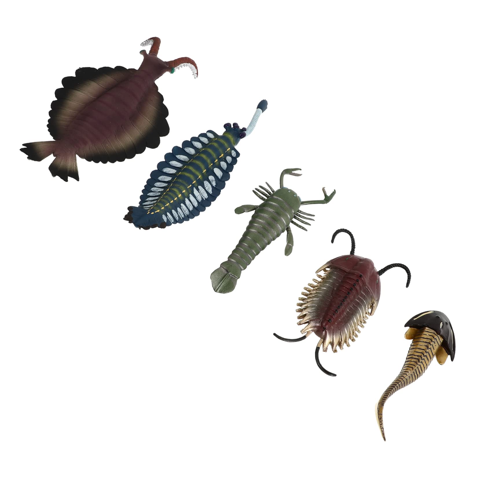Vaguelly 5-Piece Marine Life Animal Figurines Set - Educational Ocean Toys for Kids, Sea Creature Playset with Cambrian Animals, Perfect for Aquarium Decor, Classroom Learning & Sensory Play
