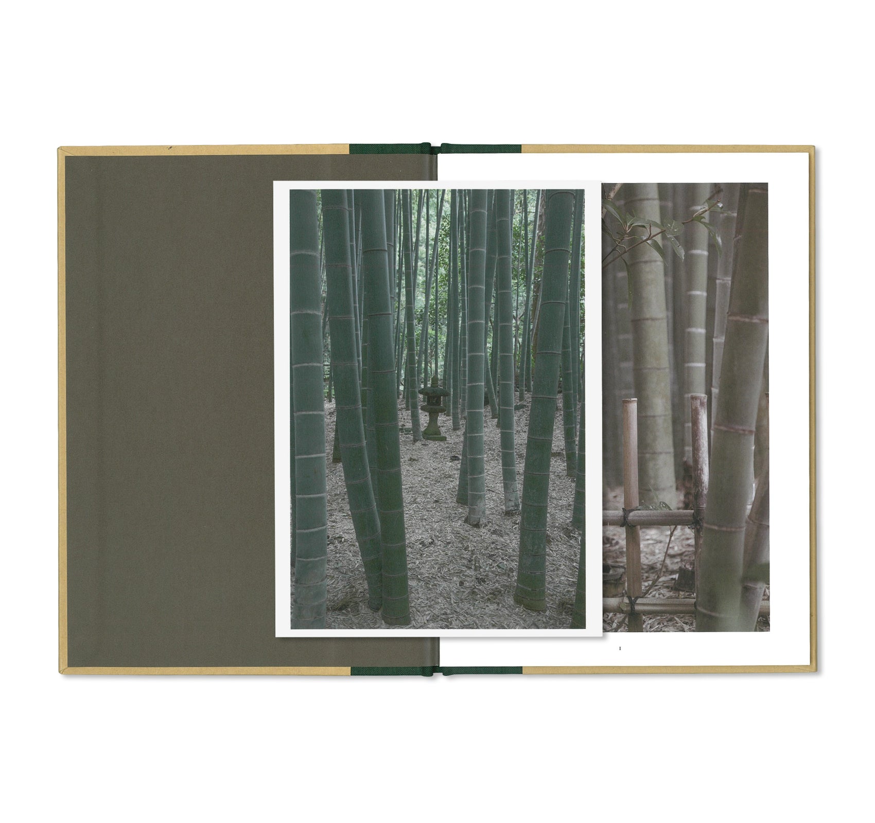ONE PICTURE BOOK TWO #18: A WALK THROUGH A BAMBOO GROVE by David H. Gibson - Nature Photography Book, Bamboo Forest Exploration, Perfect for Art Lovers & Home Decor