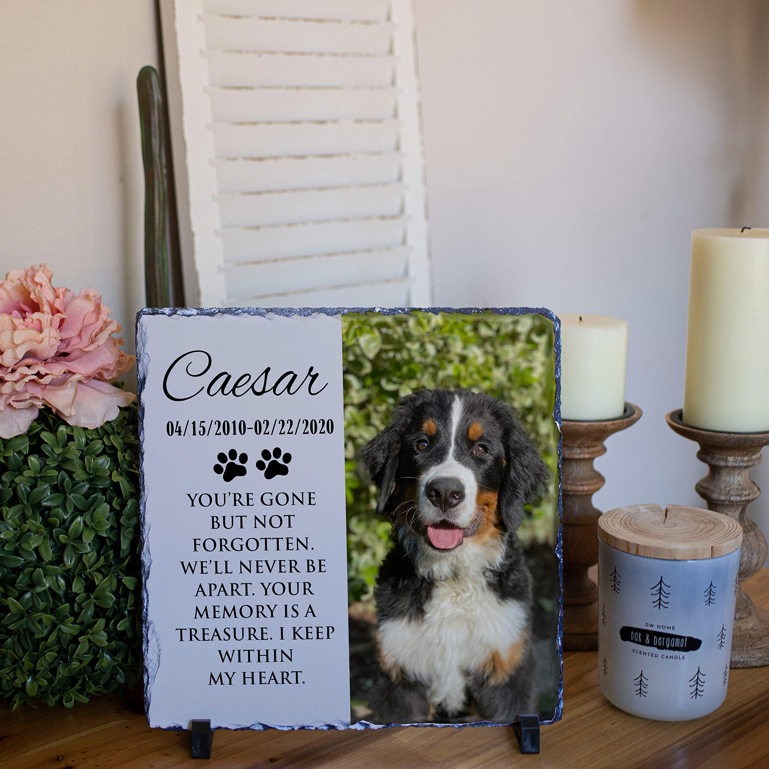 Custom Engraved Dog Memorial Stone with Photo - 6x6 Inch Granite Pet Memorial Plaque for Dogs & Cats | Personalized Pet Loss Gift for Indoor & Outdoor Use | Perfect for Backyard Memorials, Pet Graves & Tribute Displays