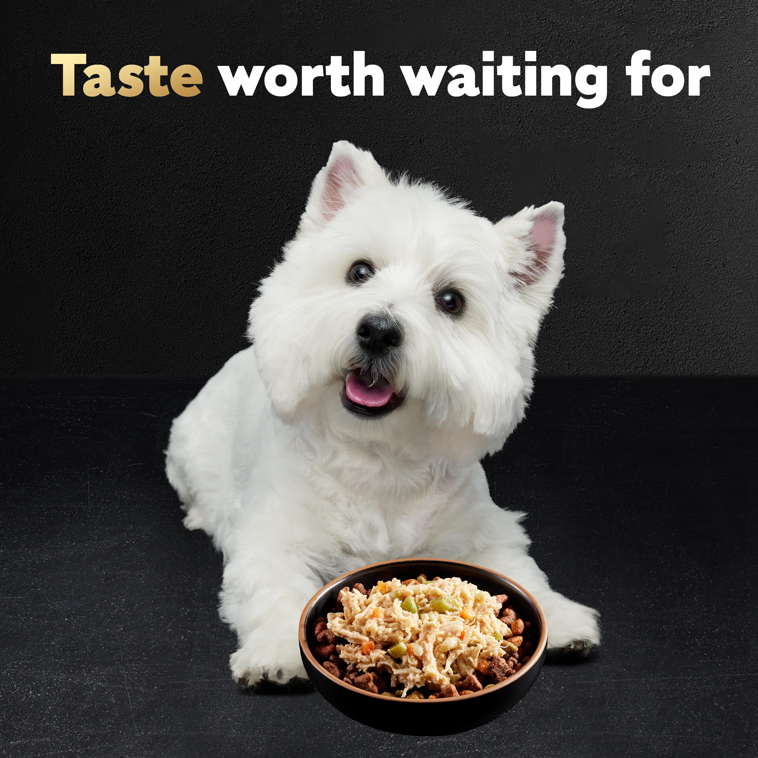 CESAR WHOLESOME BOWLS Adult Soft Wet Dog Food - Chicken, Sweet Potato & Green Beans Recipe, 3 oz (Pack of 10) | Grain-Free, High Protein Meal for Small & Medium Dogs | Perfect for Travel, Training & Senior Dogs