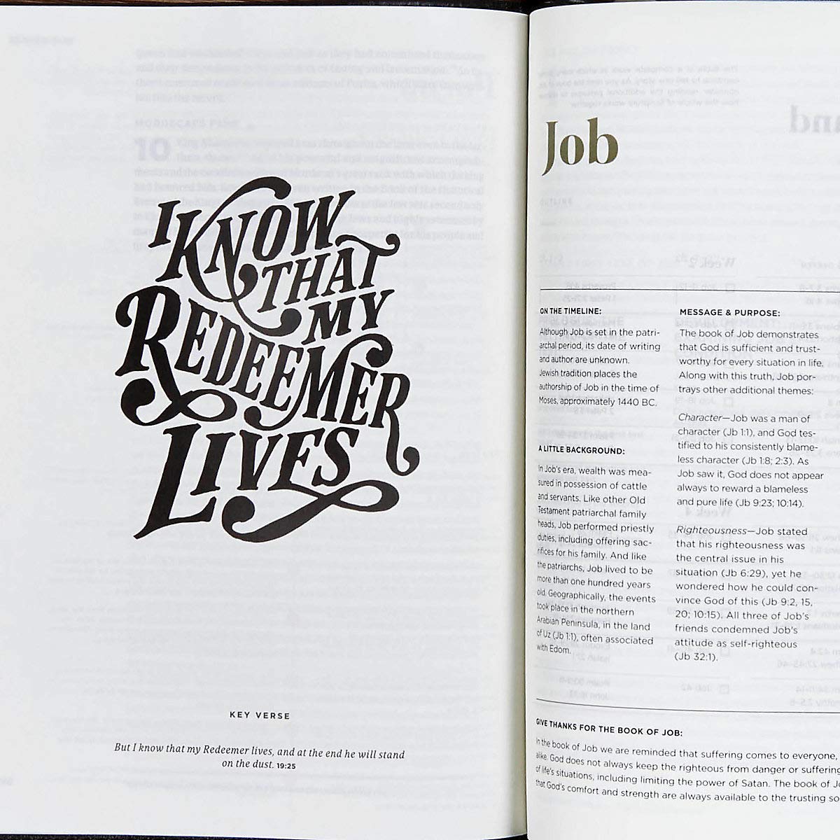 He Reads Truth Bible - Genuine Leather Brown Indexed Edition with Wide Margins & Journaling Space | Black Letter Text, Illustrations, Reading Plans | Single-Column Easy-to-Read Serif Type | Perfect for Bible Study, Devotional Reading & Gift Giving