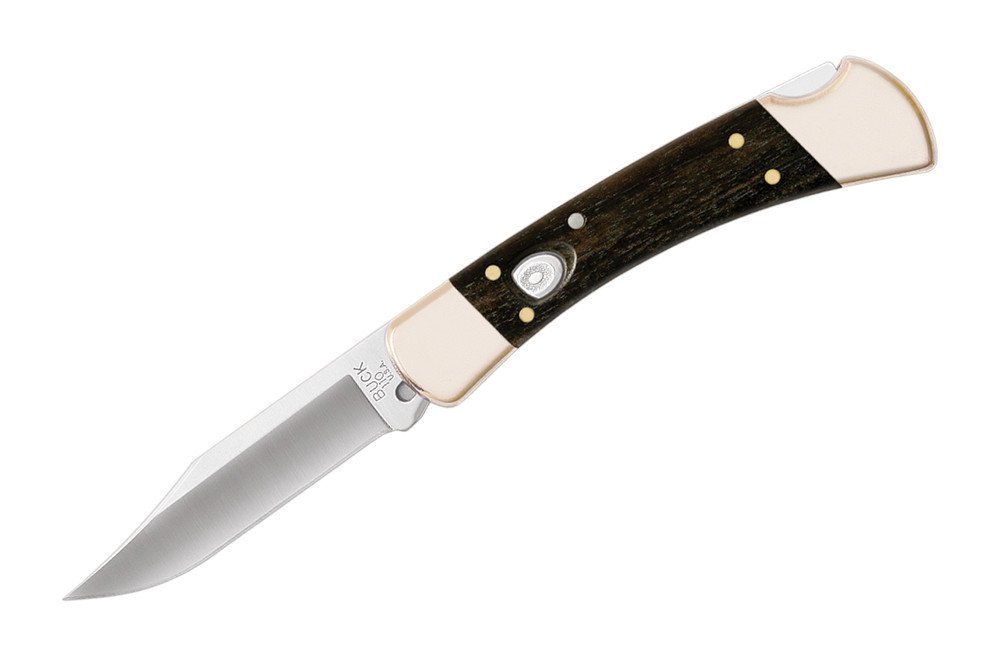 Buck 0110BRSA-B Ebony Auto Folding Hunter Knife - Premium Automatic Pocket Knife for Outdoor, Hunting, Camping & EDC (Everyday Carry)
