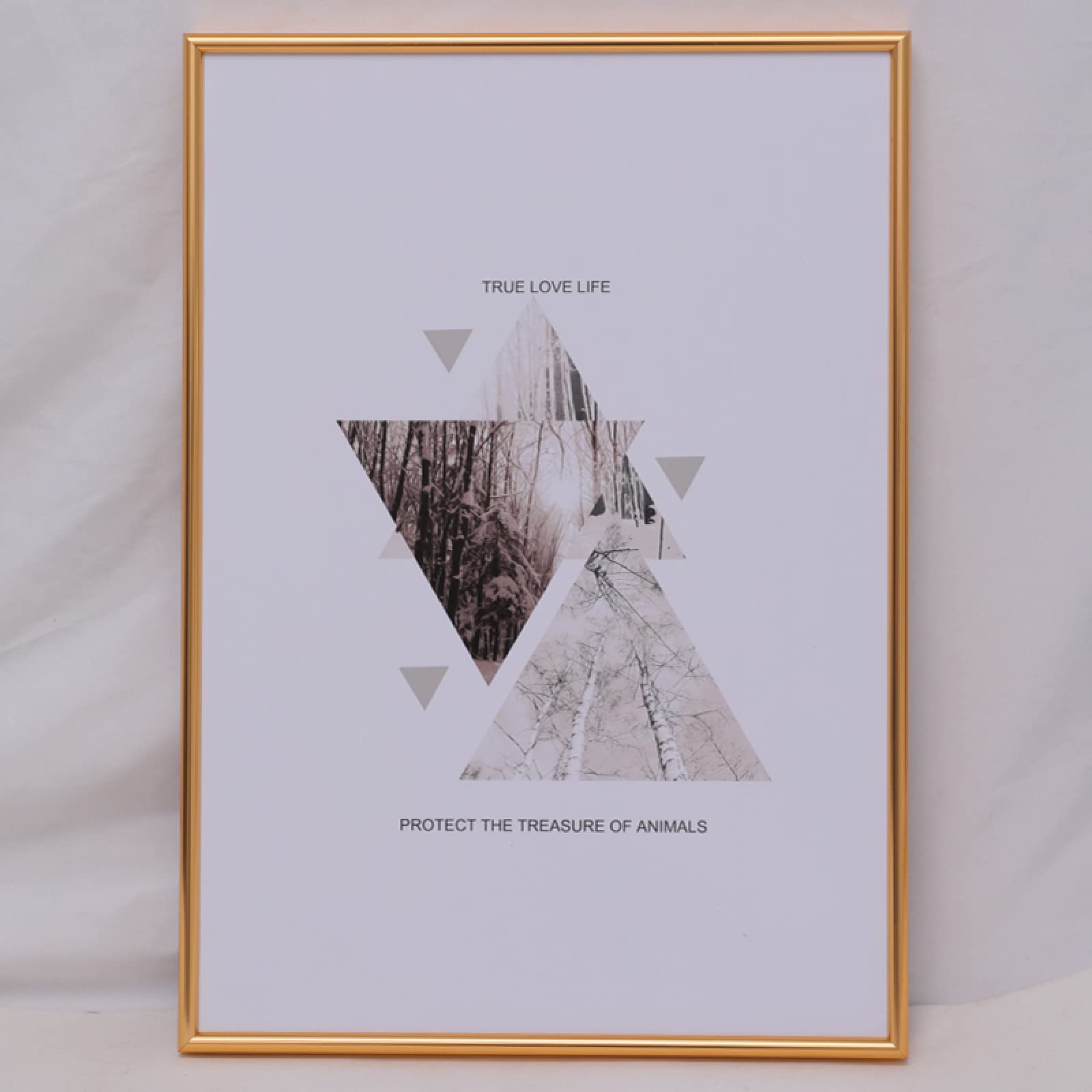 MEYYY A2 Poster Photo Frame - Gold Certificate Picture Frames for Wall Mounting 42x59.4cm - Perfect for Diplomas, Awards & Artwork Display in Home & Office
