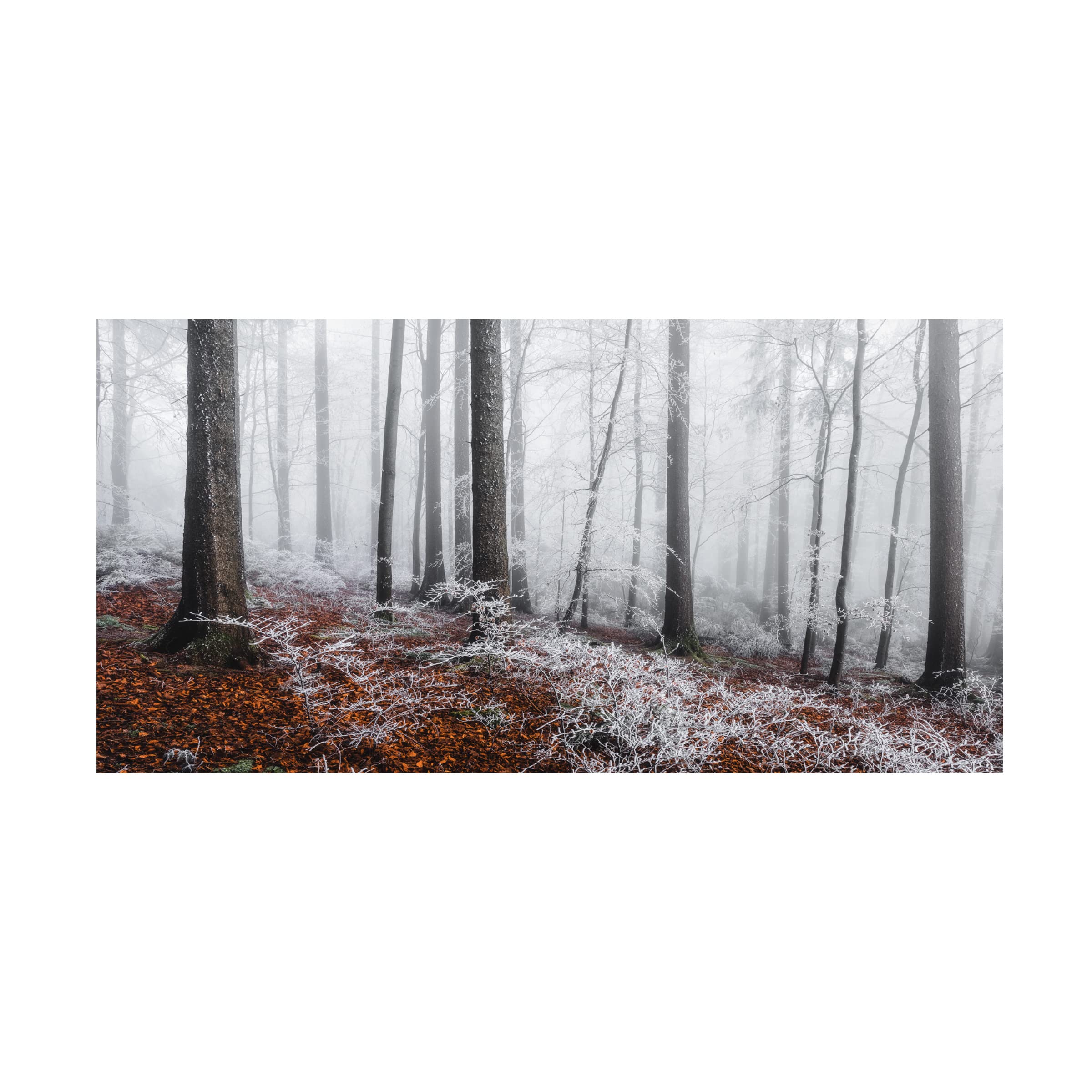 Trademark Fine Art 'Winter Moods' Canvas Art by Burim Muqa – Stunning Winter Landscape Wall Decor for Living Room, Bedroom & Office