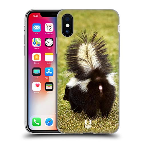 Striped Skunk