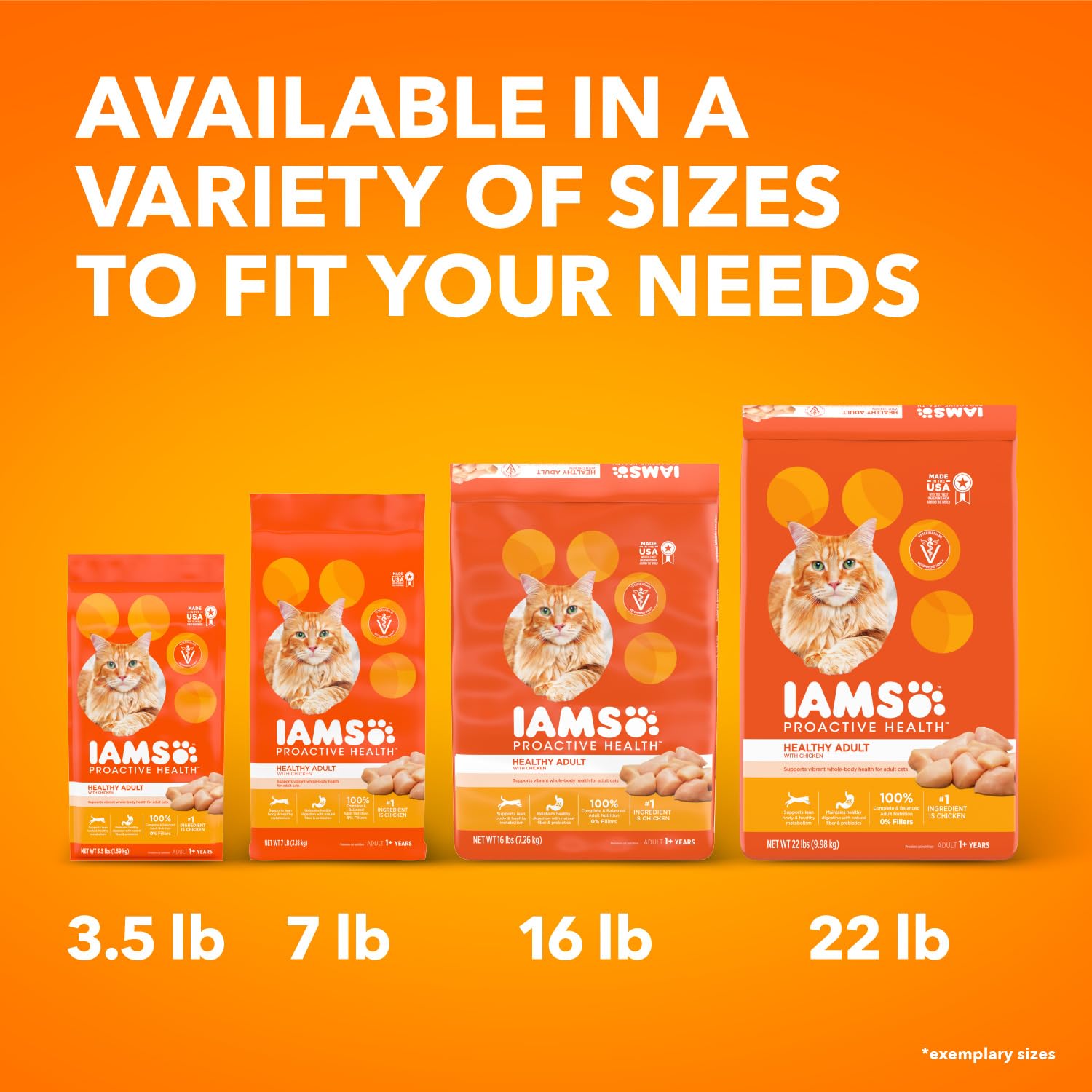 IAMS Proactive Health Healthy Adult Dry Cat Food with Chicken - 7 lb Bag | High Protein Cat Kibble for Indoor & Outdoor Cats | Supports Immune System & Digestive Health