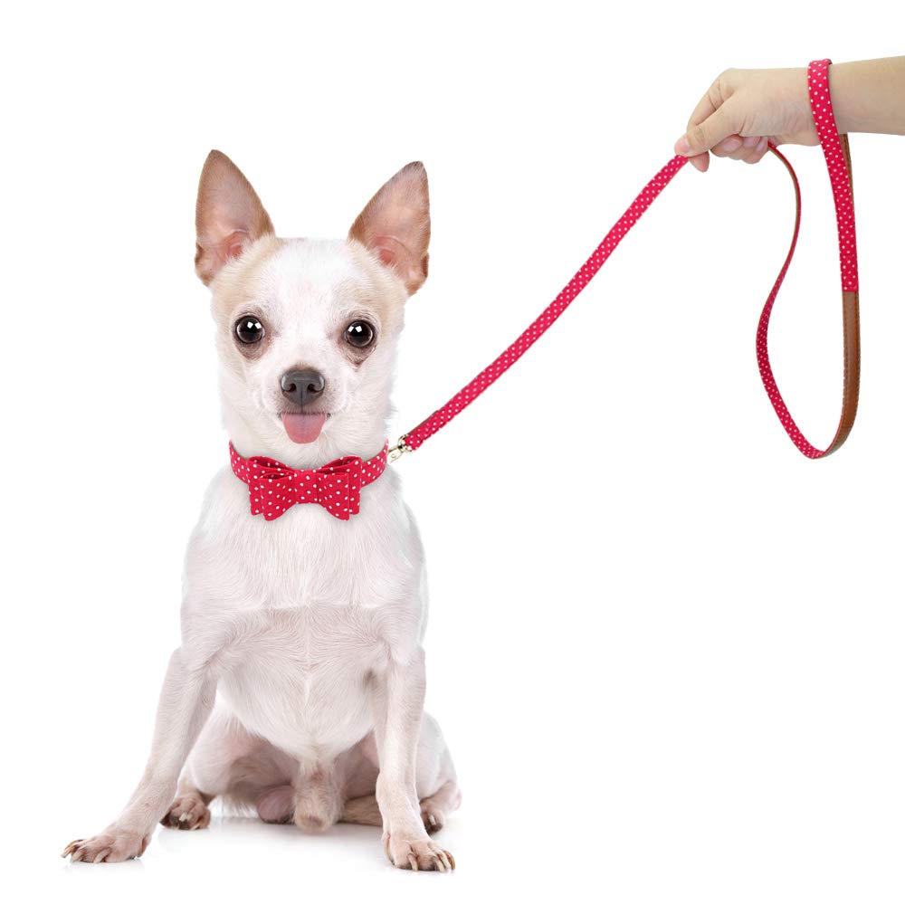 Cute Polka Dot Bowknot Leather Dog Collar and Leash Set for Small & Medium Dogs - Adjustable Pet Bandana Collar with Matching Leash for Walking, Training - Red Pet Supplies for Dogs & Cats (Perfect for Daily Walks, Pet Photos, Gifts)