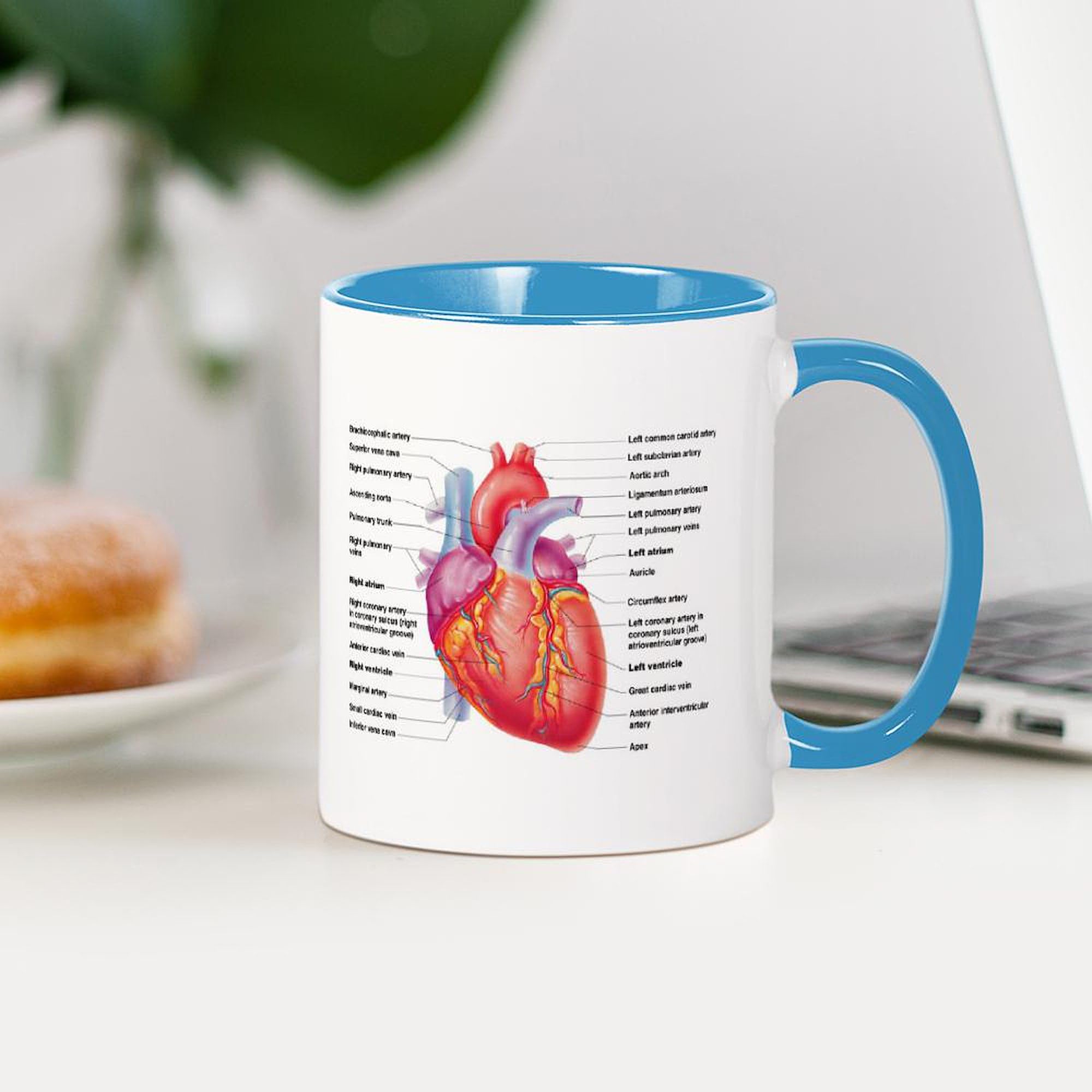 Human Heart Design 11 oz (325 ml) Ceramic Coffee Mug - Perfect for Doctors, Nurses & Medical Students - Ideal for Tea, Hot Chocolate & Office Use
