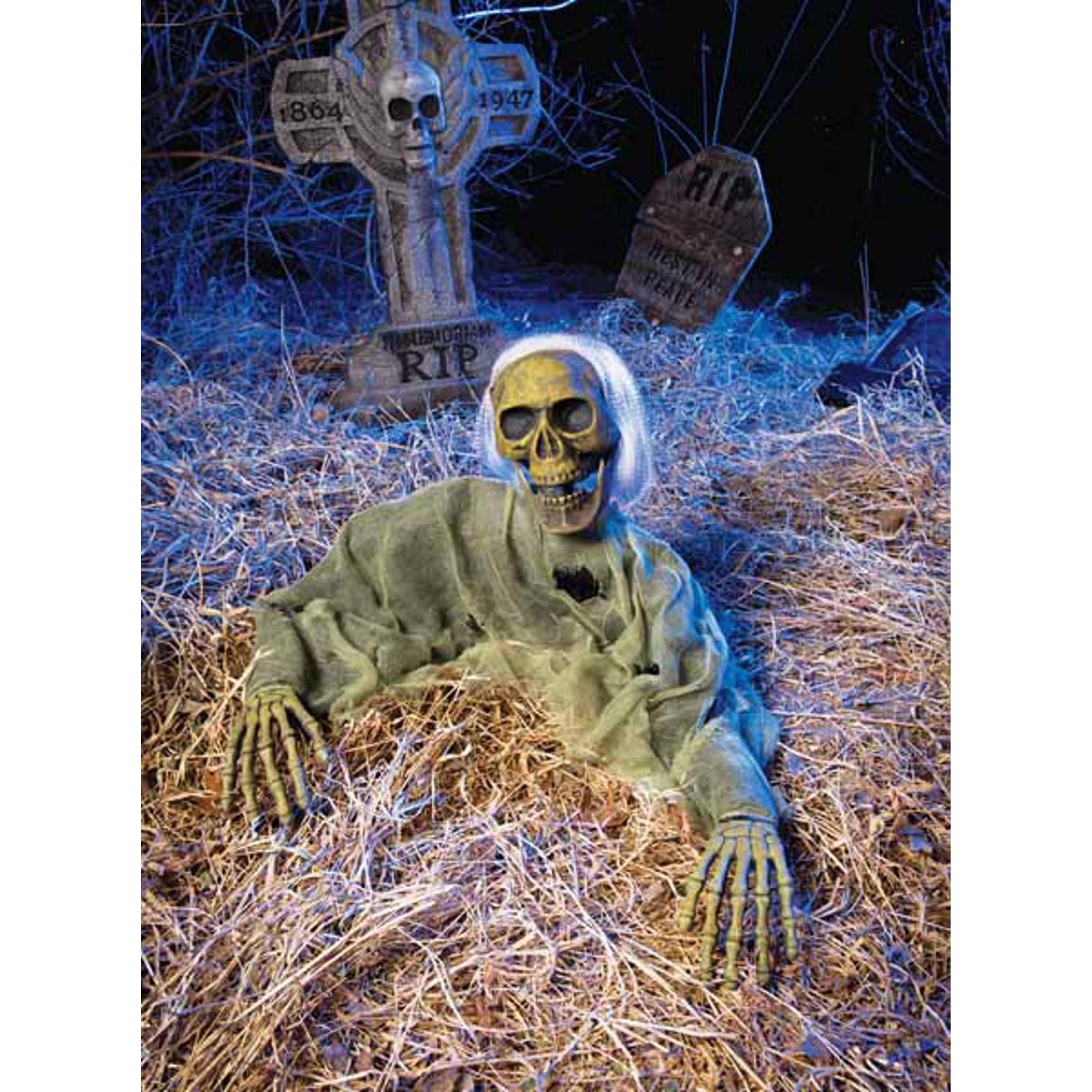 Moss Green Skeleton in Coffin Box - Halloween Decorations, Spooky Home Decor, Gothic Party Supplies for Halloween Party, Haunted House, and Themed Events