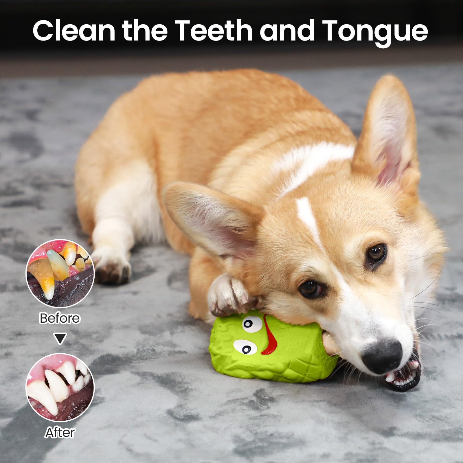 RUXAN Indestructible Dog Chew Toys for Aggressive Chewers - Durable Natural Rubber Interactive Treat Toy with Milk Flavor for Medium & Large Dogs - Perfect for Chewing, Chasing, Fetching & Playtime Training