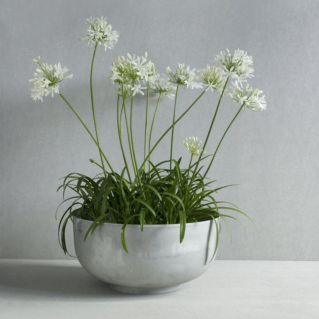 Ida Linea Hildebrand Castle Planter - Elegant Ceramic Flower Pot for Home & Garden Decor | Perfect for Indoor Plants, Succulents, and Herbs