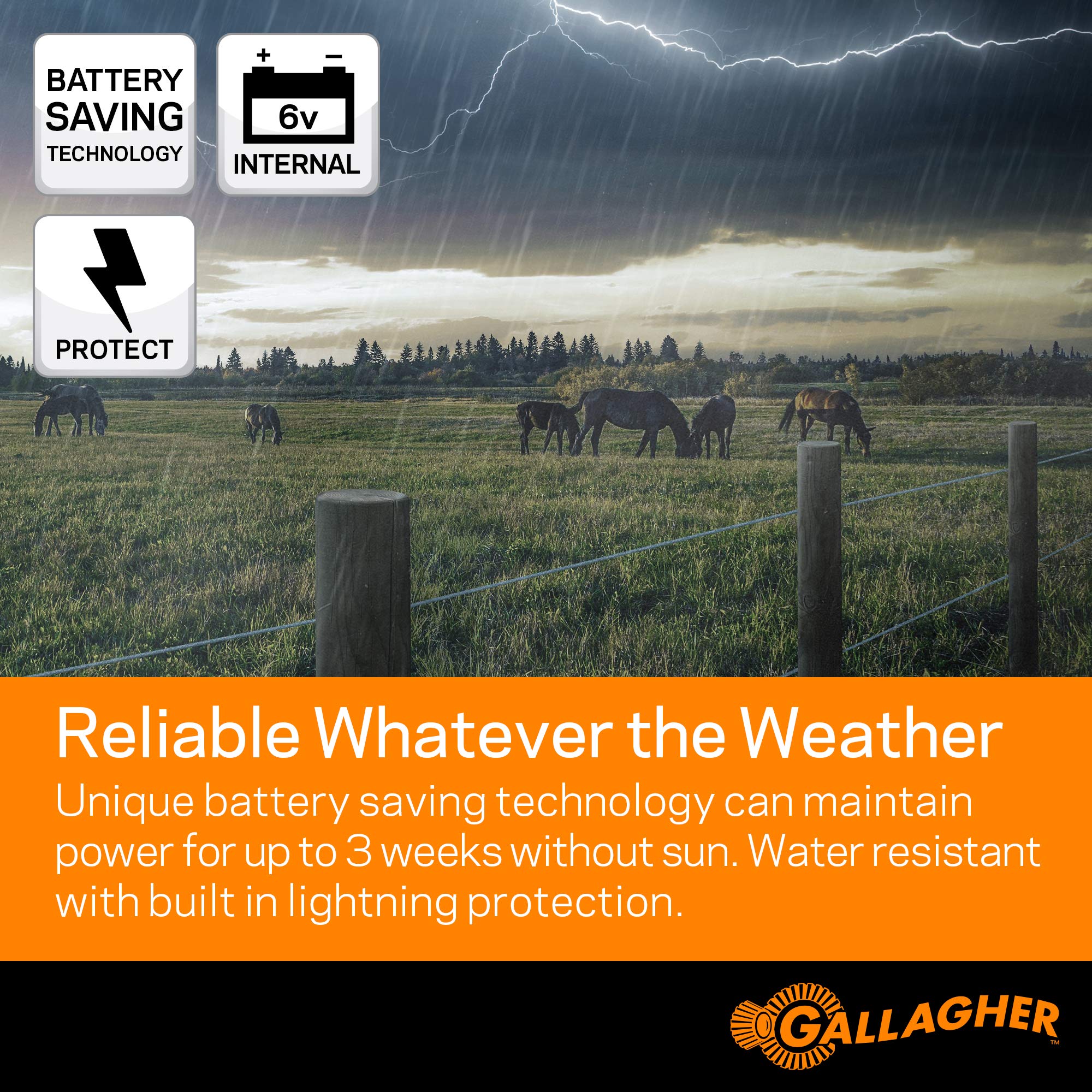 Gallagher G345404 S40 Solar Fence Charger - 12V High Power Electric Fence Energizer for Livestock & Pets - Weatherproof Solar Powered Fence Controller for Farms, Ranches & Gardens