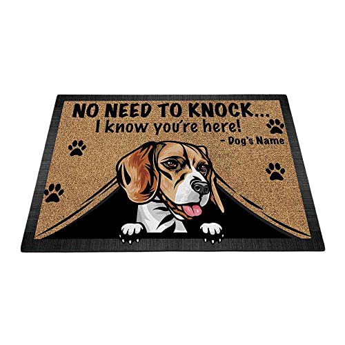 Beagle