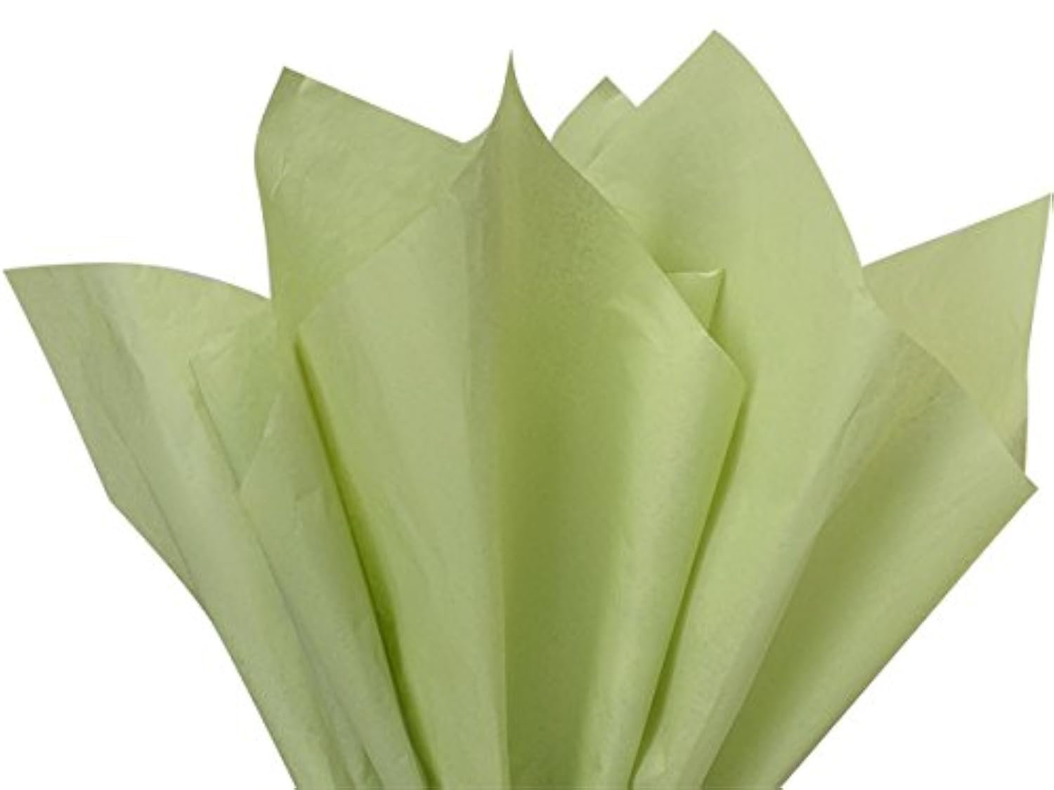 Premium Sage Green & Light Olive Bulk Tissue Paper - 15