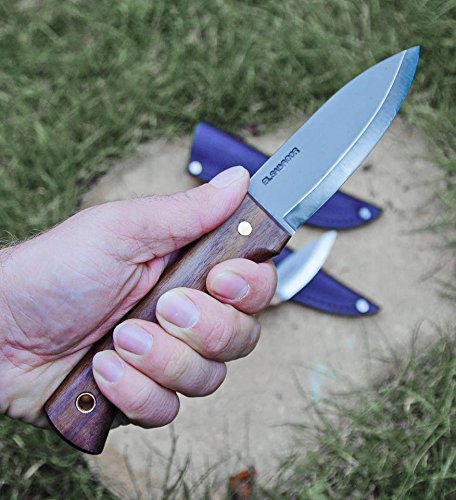 Condor Bushlore Knife - Premium Bushcraft Survival Knife with 1075 High Carbon Steel Blade & Walnut Handle - Scandi Grind Fixed Blade Knife (4.3