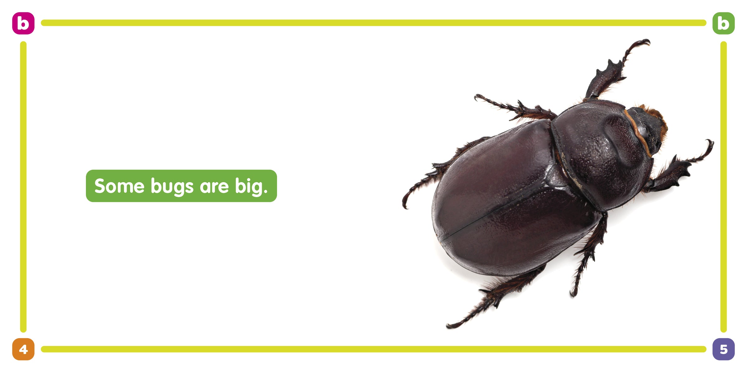 I Like Bugs: The Sound of B - Fun Phonics Learning Book for Kids, Perfect for Early Reading & Classroom Activities