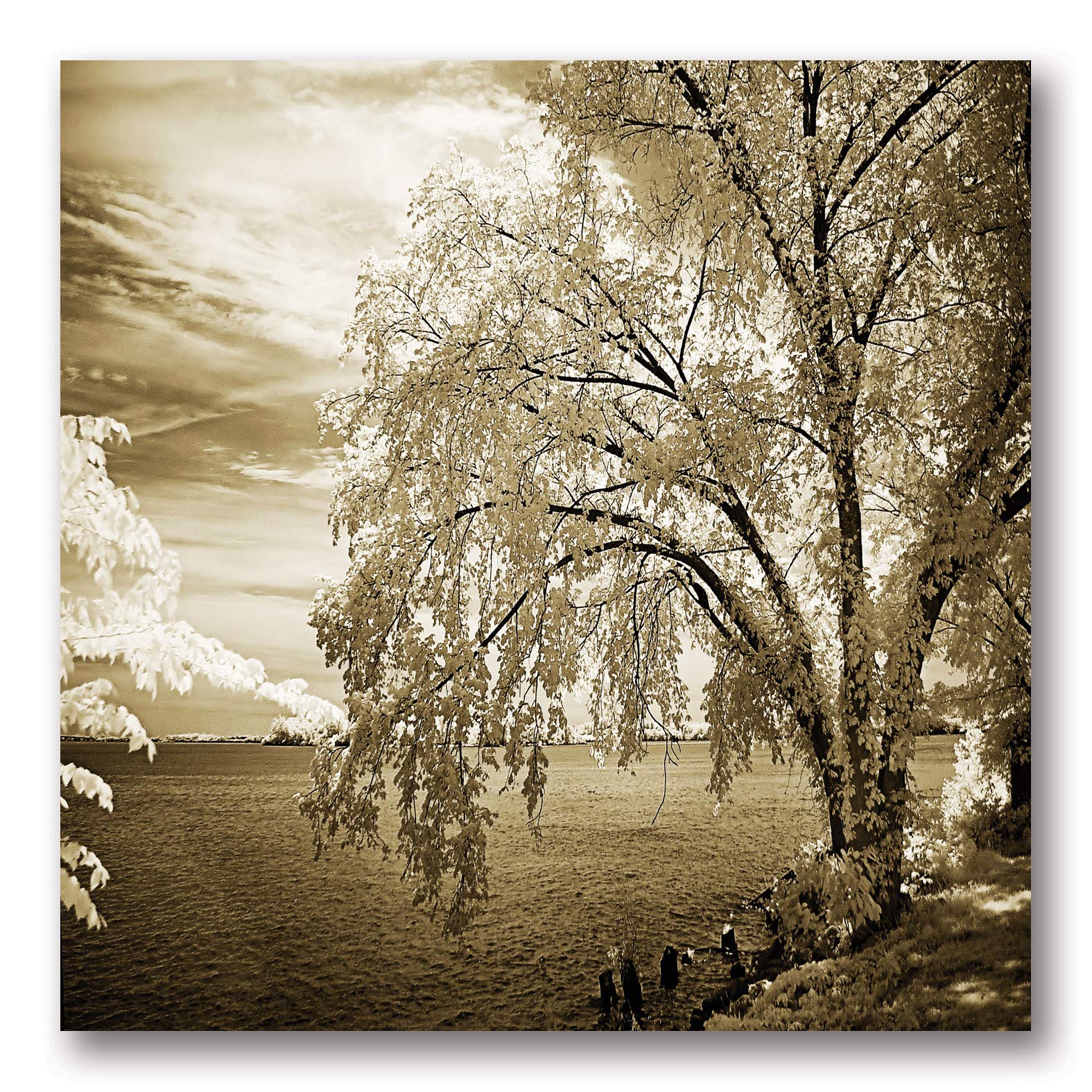 Hopewell Shores Sepia Square II - Vintage Romantic Wall Art Picture 12x12 Inches - Perfect for Living Room, Bedroom Decor & Coastal Home Interior Design