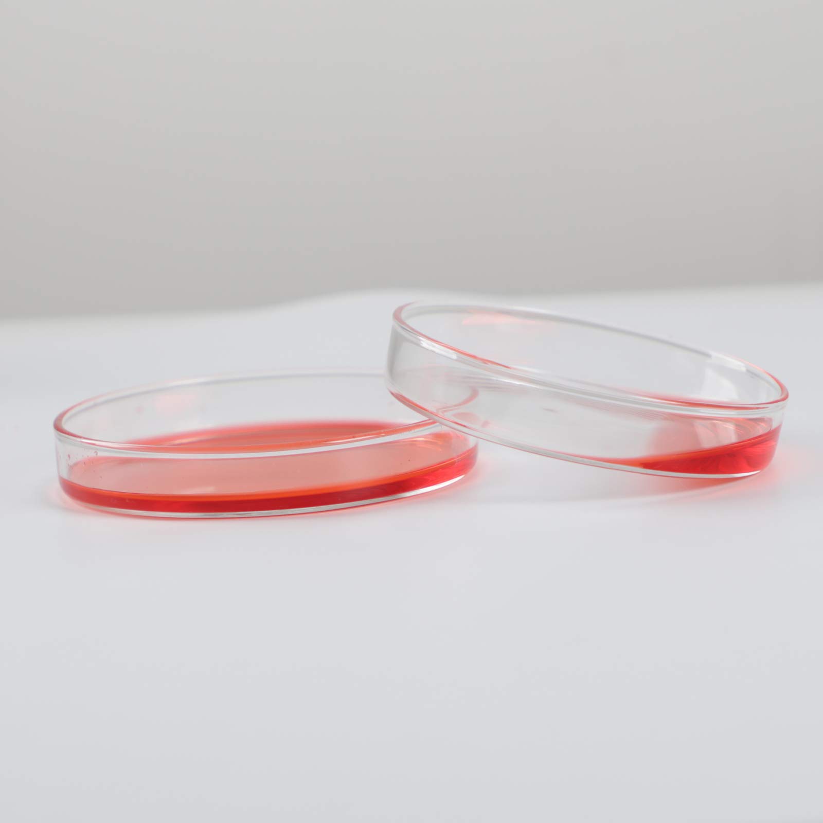 3.3 Borosilicate Glass Petri Dishes - 120mm OD, Pack of 10 - Lab-Grade Culture Plates for Microbiology, Cell Culture & Science Experiments