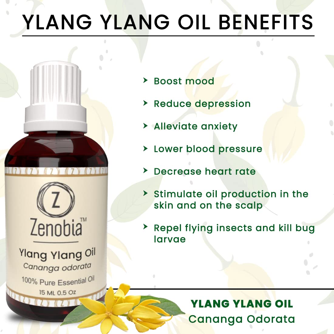 Zenobia Ylang Ylang Essential Oil - 100% Pure Natural Therapeutic Grade for Hair Growth, Beard Care, Skin Moisturizer & Aromatherapy - 15ml - Perfect for DIY Beauty, Massage & Relaxation at Home