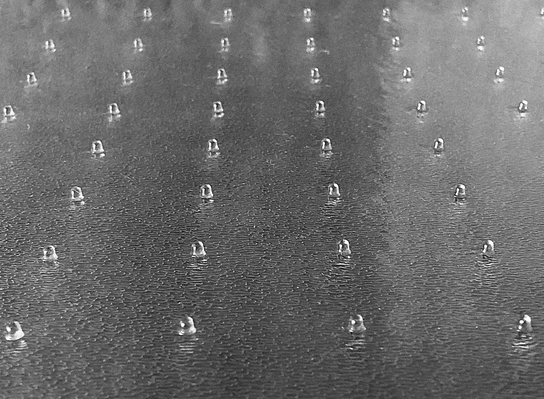 L-Shaped PVC Desk Mat, Studded & Transparent for Office Use