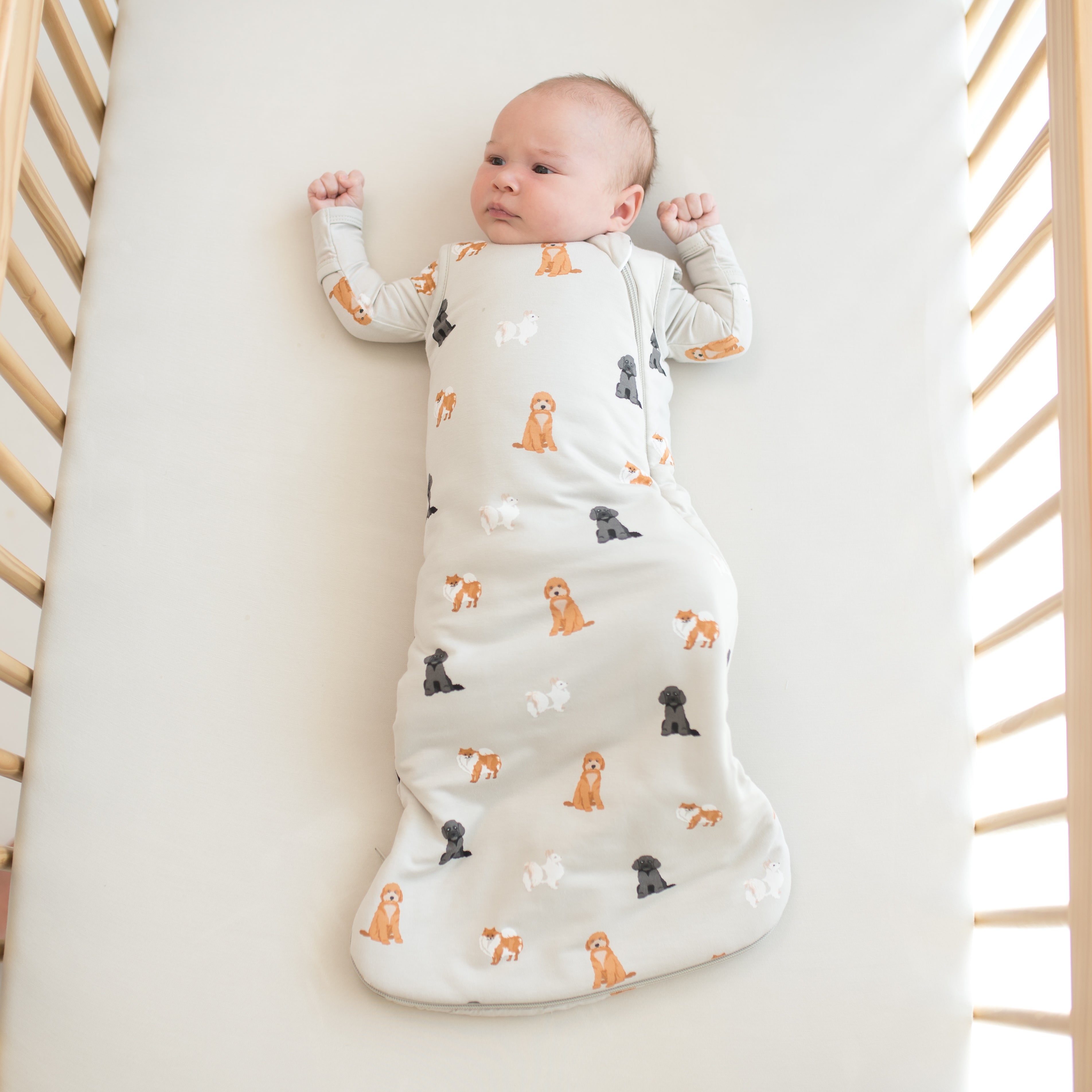 Fluffy Dog Sleeping Bag - Ultra Soft & Comfortable Pet Bed for Small to Medium Dogs - Perfect for Indoor, Outdoor & Travel Use