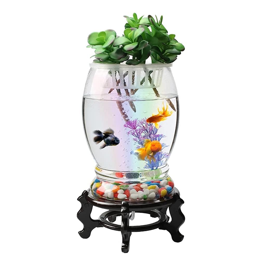 Premium Glass Aquarium Tank - Large Desktop Fish Tank for Aquatic Pets | Home & Office Decoration, Zen Relaxation, Educational Kids Activity