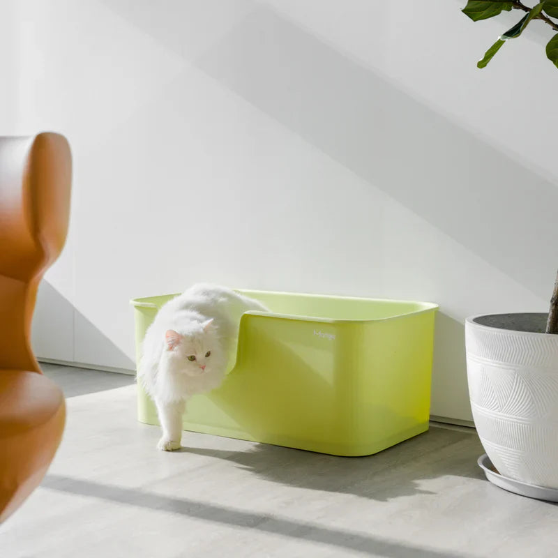 Premium Mango Open Litter Box for Large Cats - Extra Spacious Design for Comfortable Use | Ideal for Maine Coons, Ragdolls & Big Breeds | Perfect for Home, Apartment & Multi-Cat Households