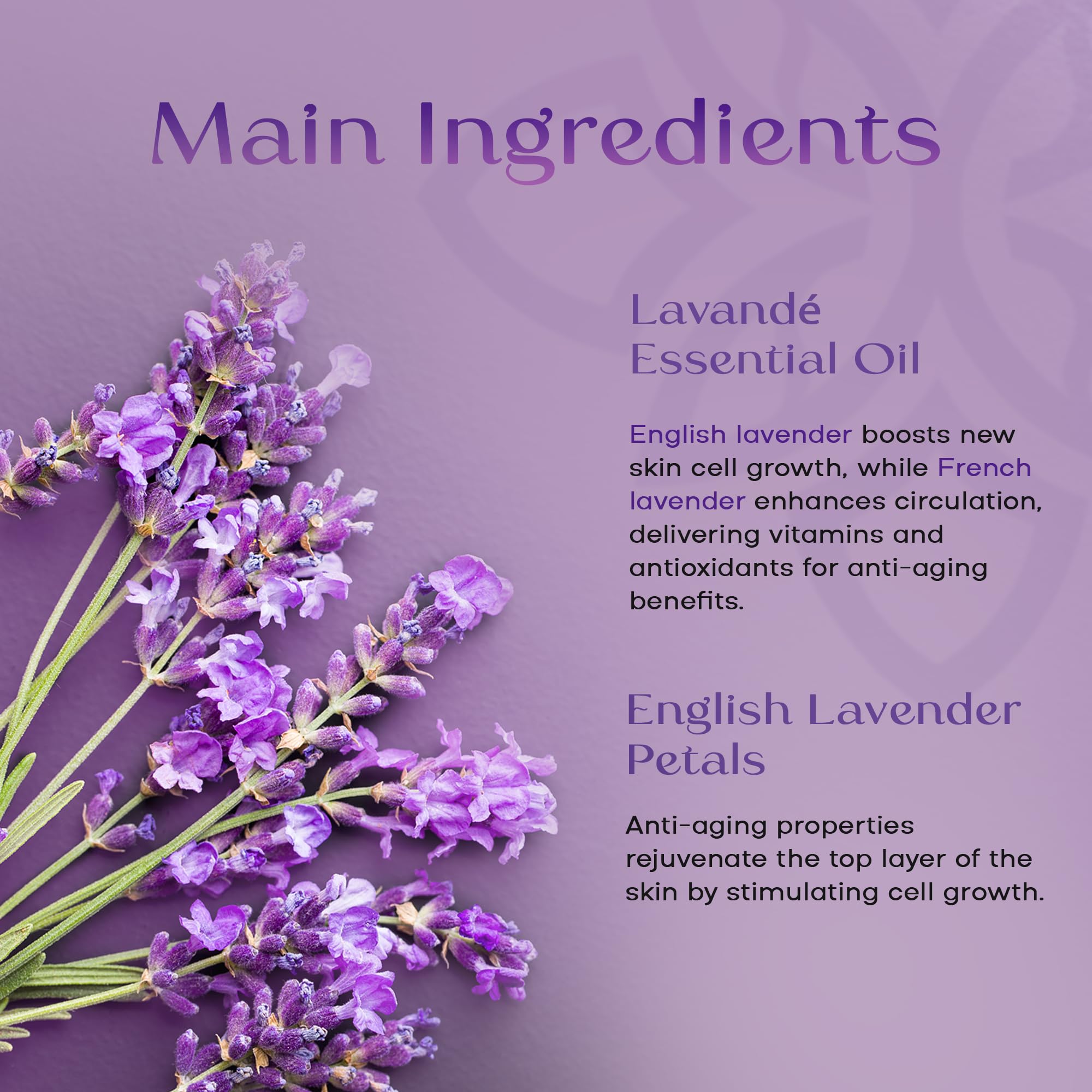 Lavender Essential Oil & Perfume Roller Set - Natural Skin Care for Face, Hair & Nails - Aromatherapy Relaxation Gift Set - Perfect for Stress Relief, Massage & Home Spa