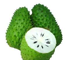 Buy 3 Pack Guanabana Annona Fruit Seeds (Dichondra Green) - Grow Exotic Tropical Fruit at Home for Smoothies & Desserts