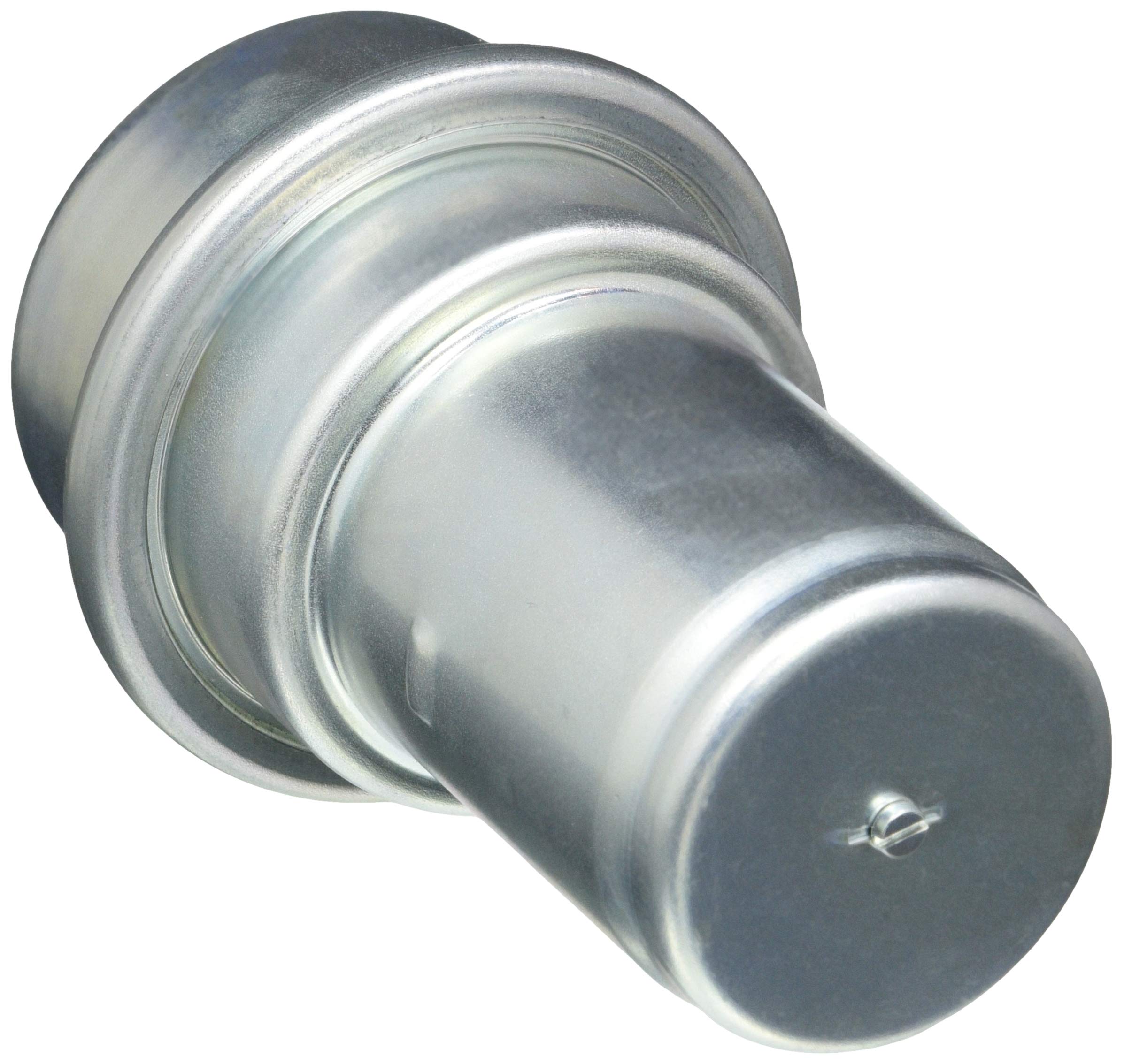 Bosch 0438170019 Fuel Injection Fuel Accumulator - High Performance Fuel System Component for BMW, Mercedes, Audi | Perfect for Engine Maintenance & Fuel Efficiency Optimization
