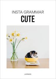 Insta Grammar: Cute English Learning Flashcards for Kids - Perfect for Homeschooling, Classroom & Travel Activities