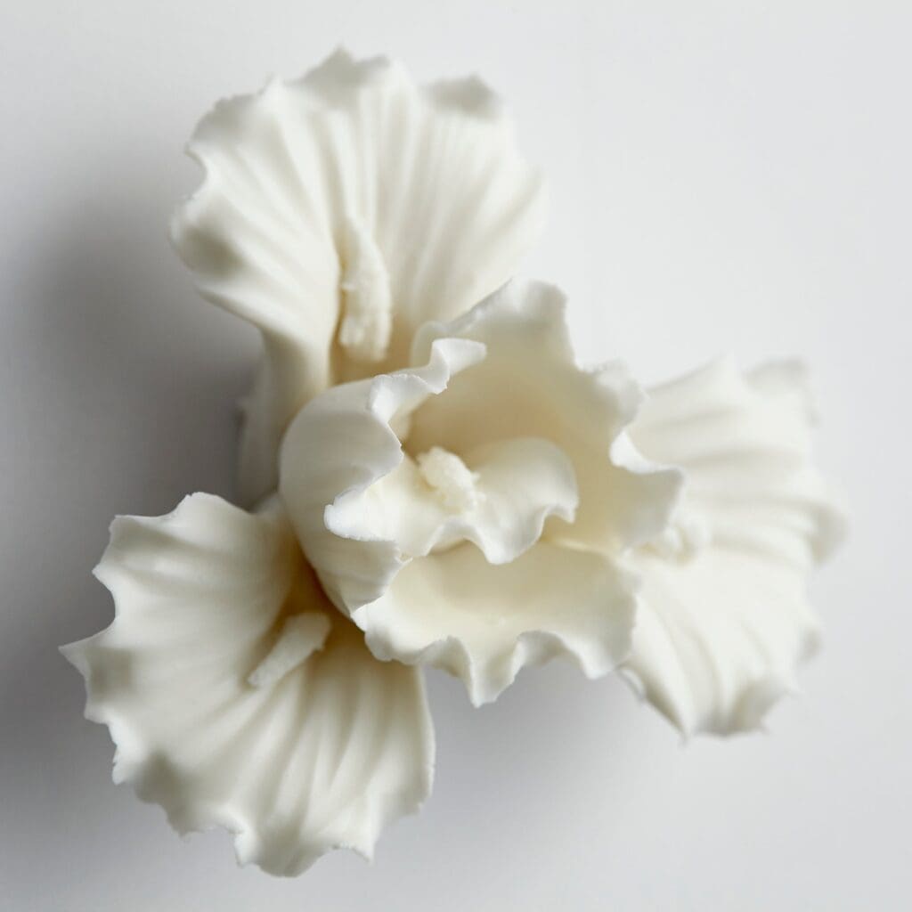 Cyan Design 10277 White Lily Wall Decor - Small Floral Home Decor for Living Room, Bedroom & Office