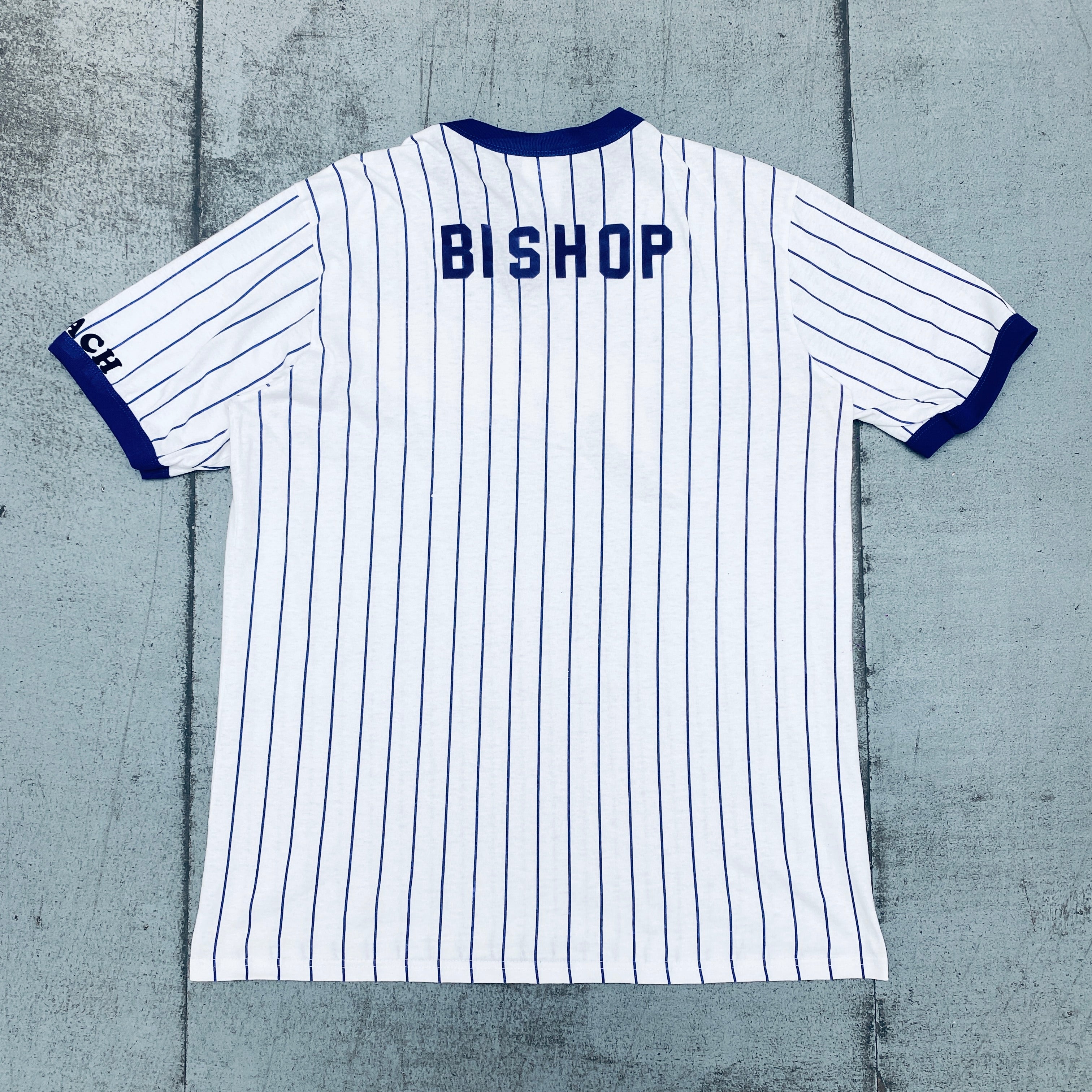 1998 Tampa Bay Devil Rays Inaugural Season Majestic Pinstripe Baseball T-Shirt (Large) - Vintage MLB Fan Apparel for Baseball Games & Retro Sports Collections