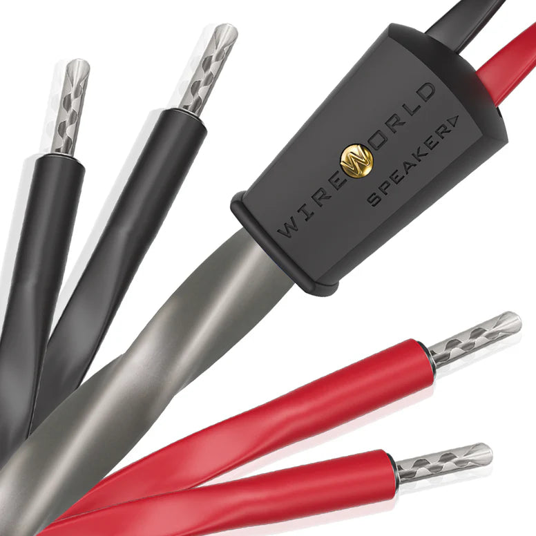 Wireworld Equinox 10 Speaker Cable - High-Performance Audio Cable for Home Theater & Stereo Systems - Perfect for Surround Sound, Music Listening & Audiophile Setups