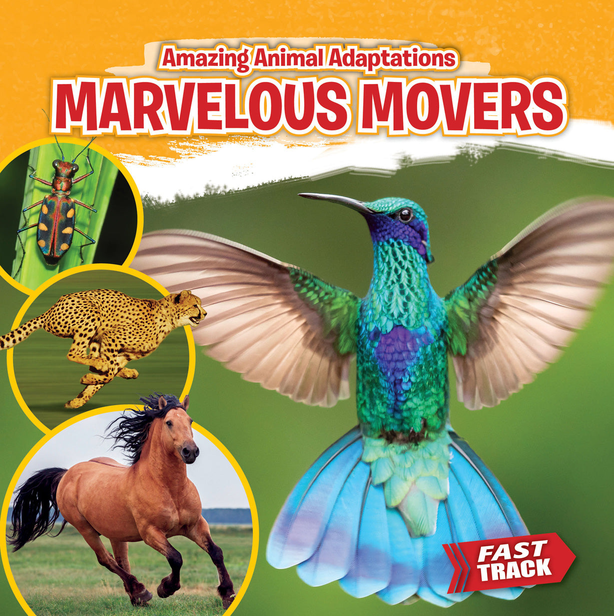 Marvelous Movers - Fun and Educational Toy for Kids | Perfect for Birthday Gifts, Classroom Activities & Pretend Play