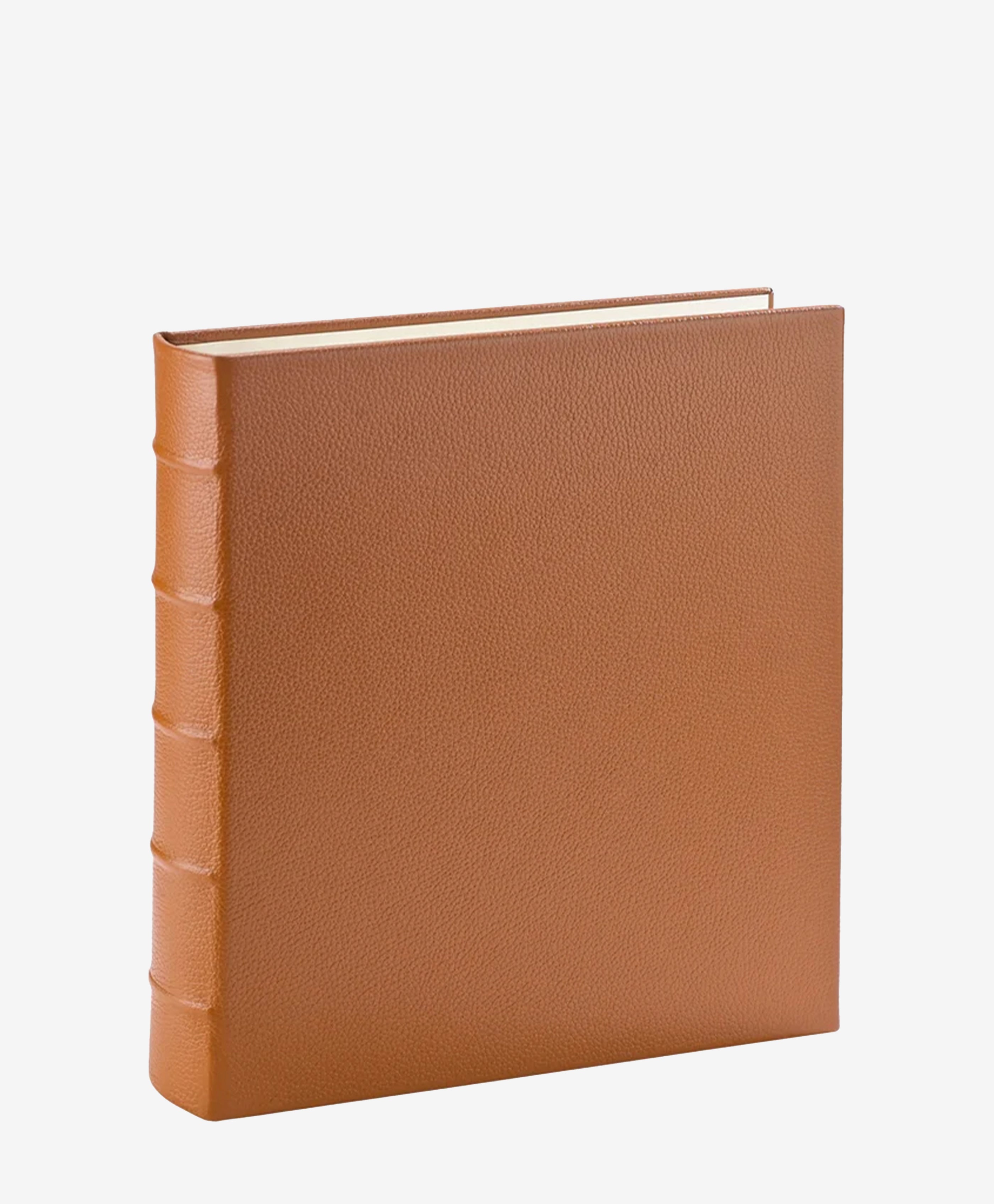 Large 3 Ring Clear Pocket Album - Premium Photo Scrapbook Organizer for School, Office & Home Use | Acid-Free Plastic Sleeves for Pictures & Documents